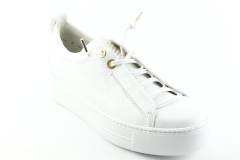 Paul Green 5017.003