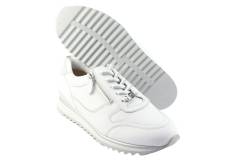 Dames  Sneakers/Veterschoen Hassia Porto 302030.0276. Direct leverbaar uit de webshop van Reese Schoenmode.