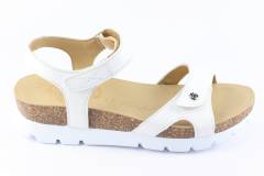 Dames  Sandalen Panama Jack Sulia.Basics B1. Direct leverbaar uit de webshop van Reese Schoenmode.